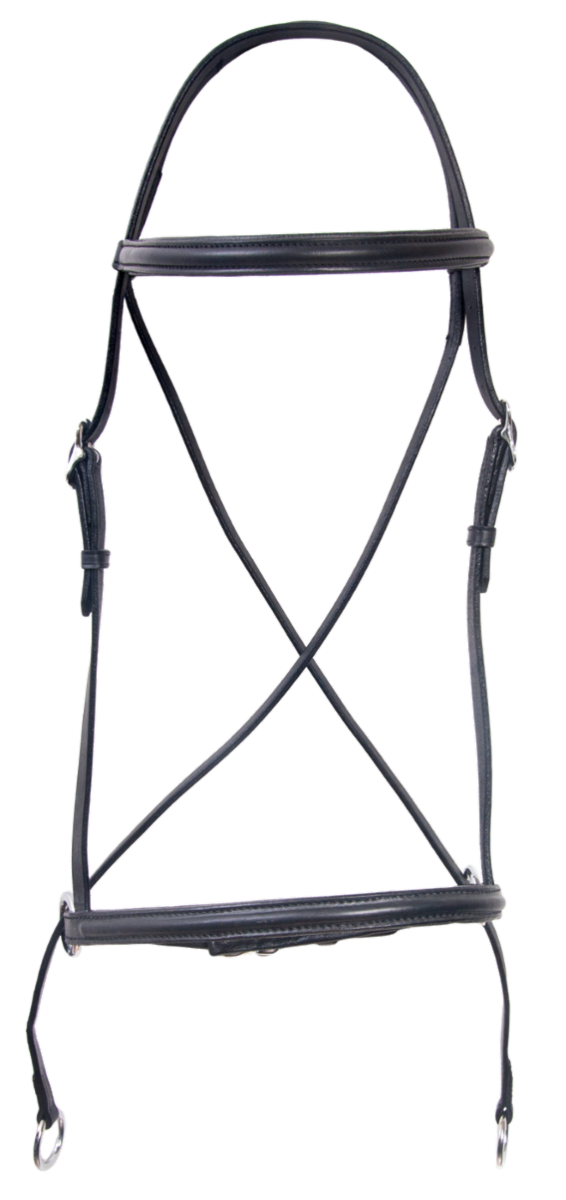 Bitless headstall