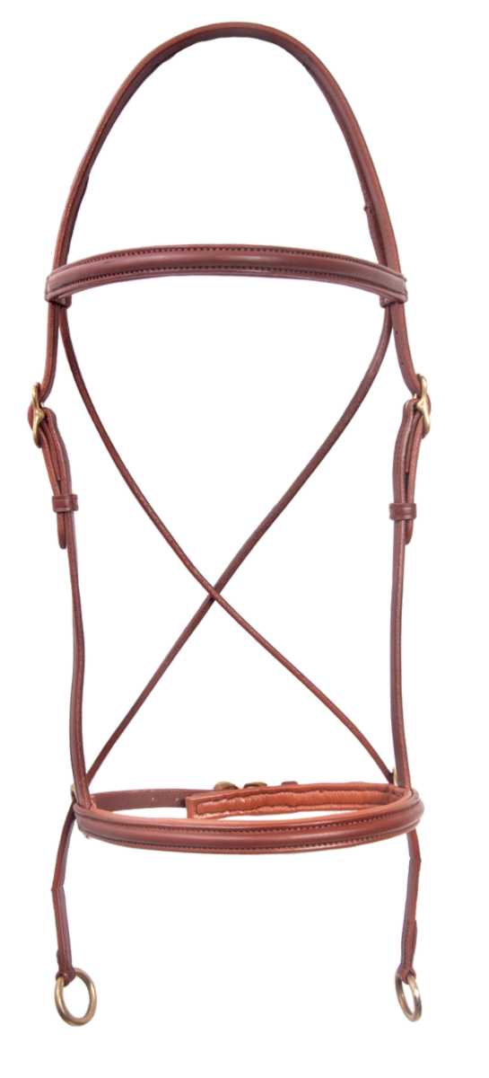 Bitless headstall