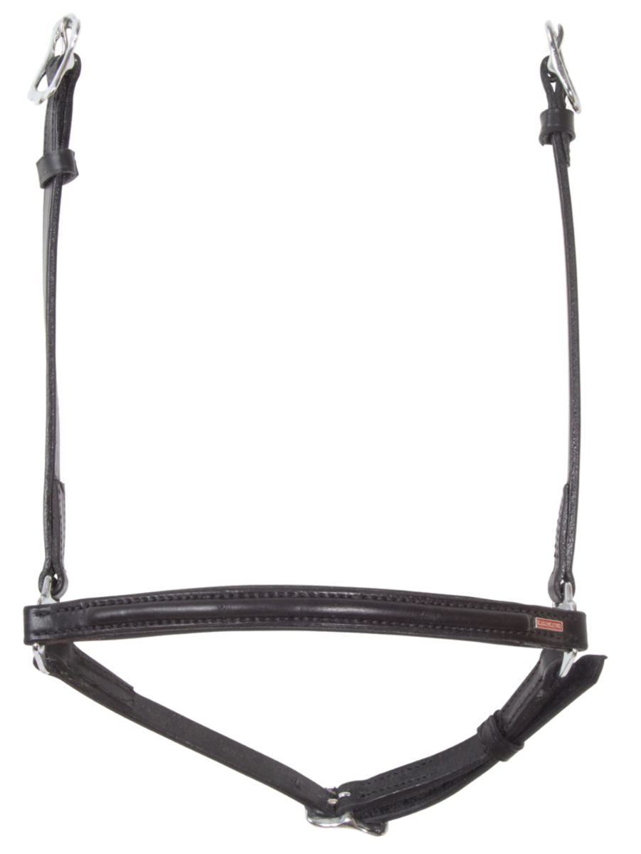 Kombi Hannoveran noseband