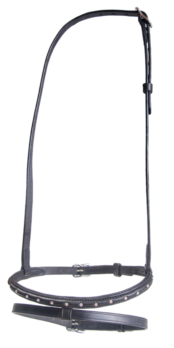 Stjarni combined noseband