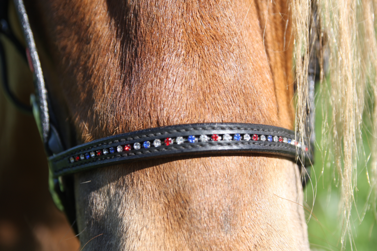 Wave noseband