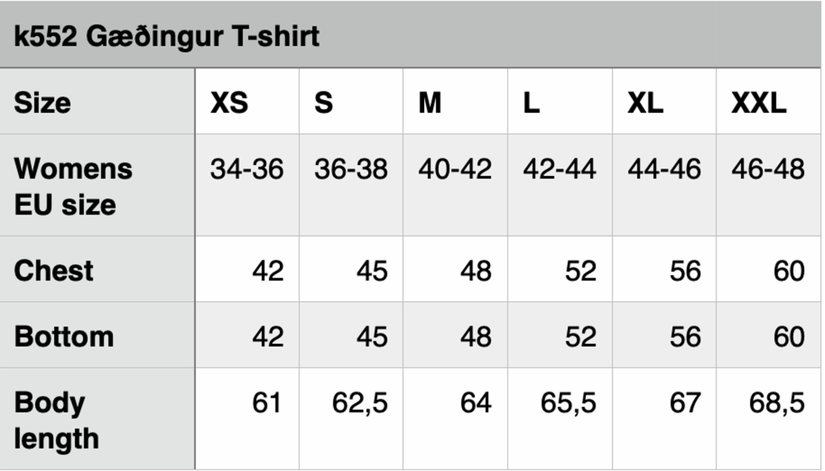 G&aelig;&eth;ingur T-shirt