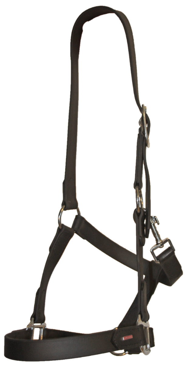 BioThane halter