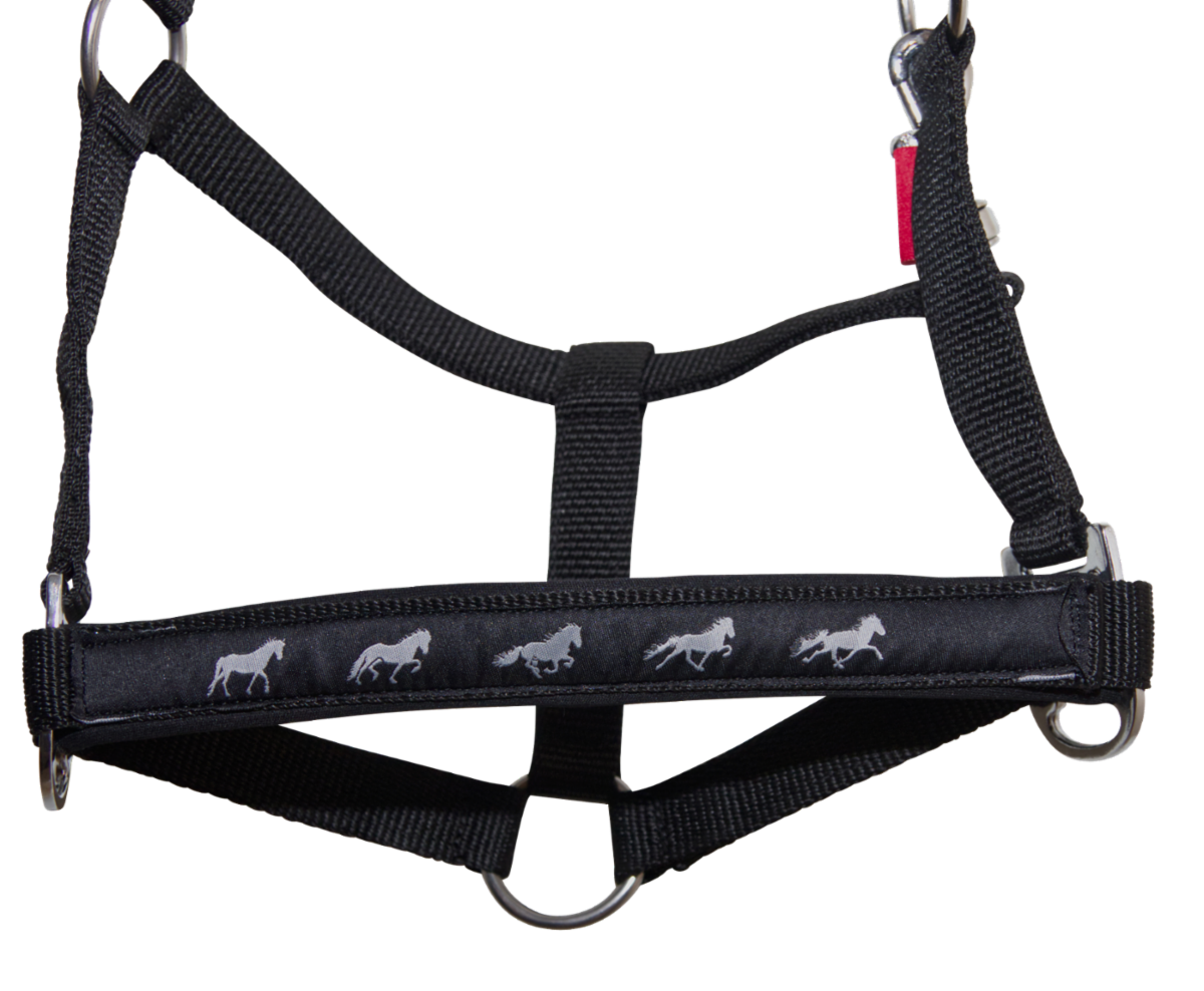 Halter with gaits