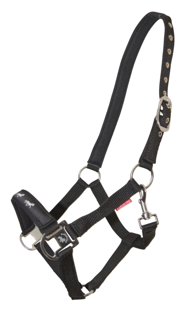 Halter with gaits