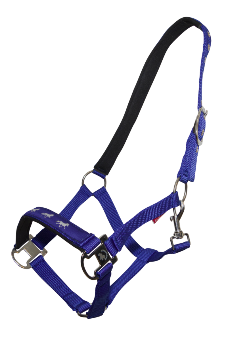 Halter with gaits