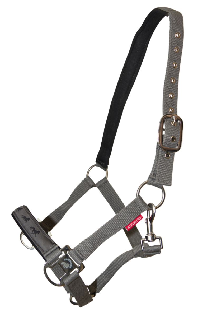 Halter with gaits