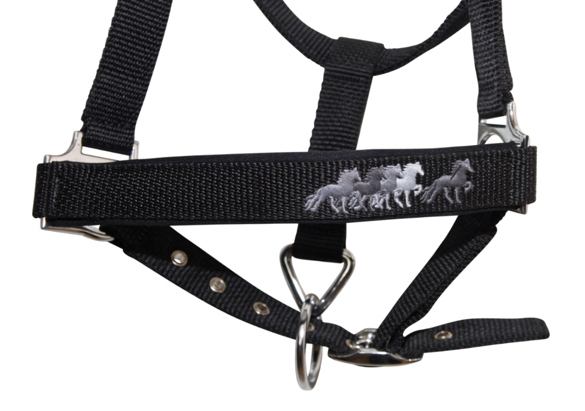 Young Horse Halter