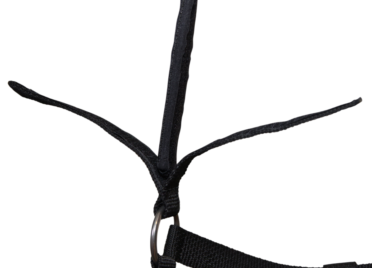 Halter w. velcro