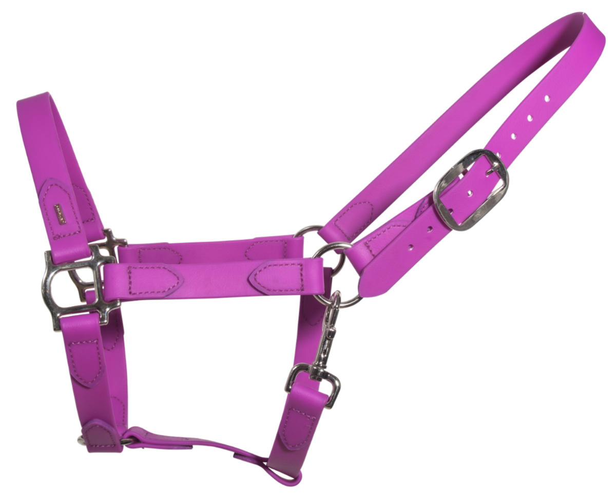 SuperStrap halter