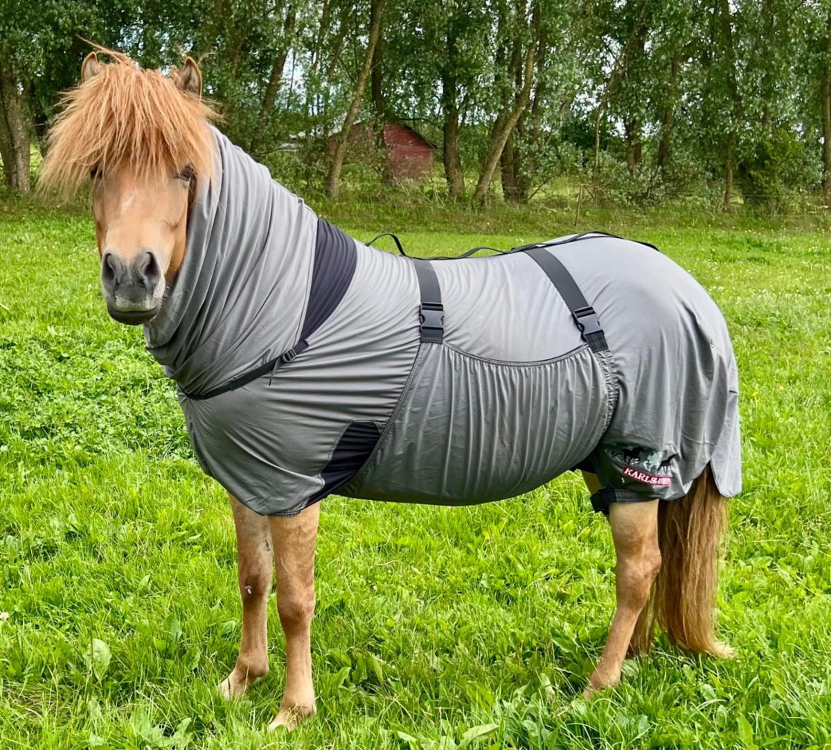 Matti Eczema Rug