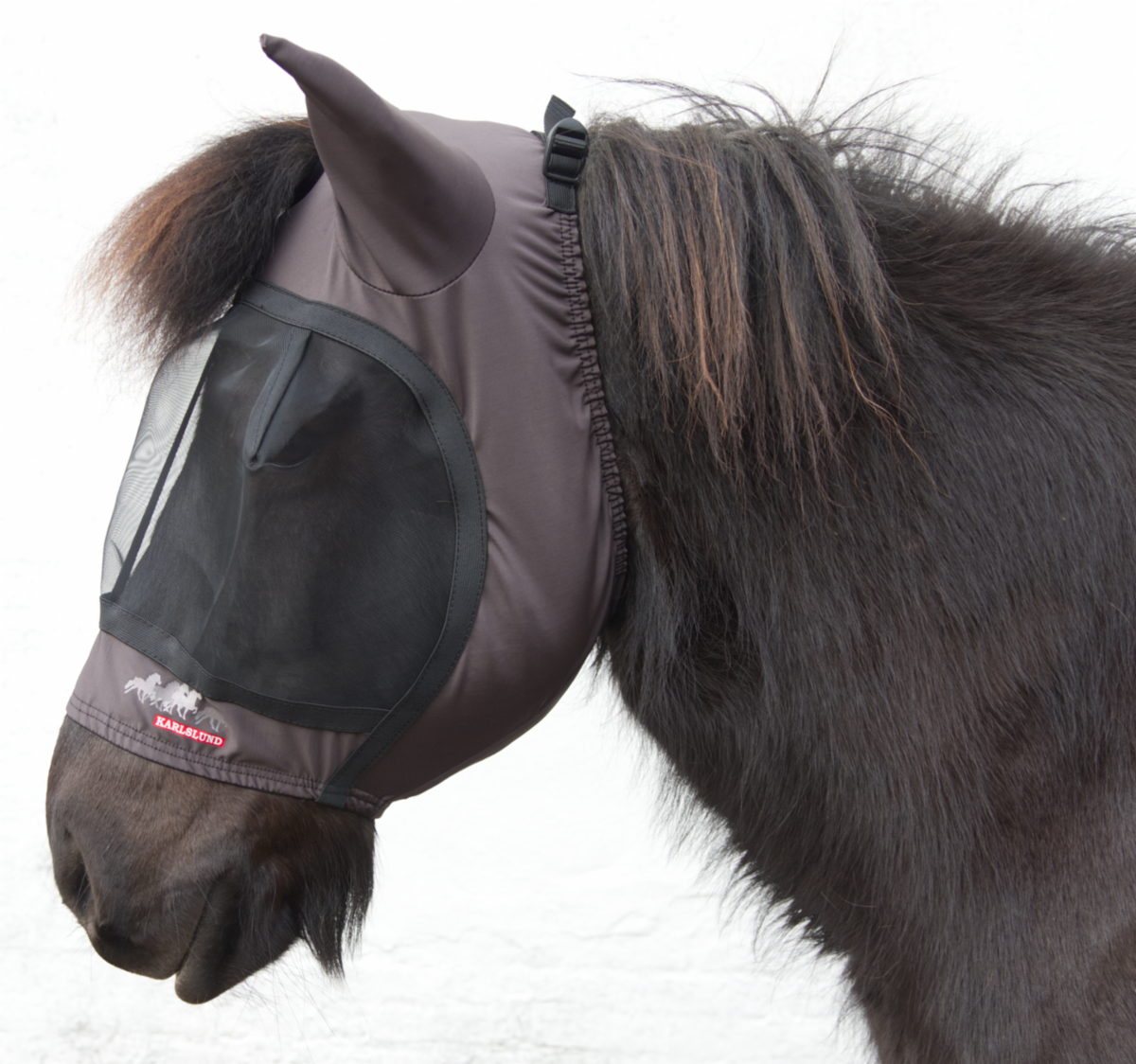 Fly Mask with hole for forelock
