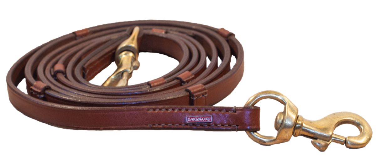 Leather reins