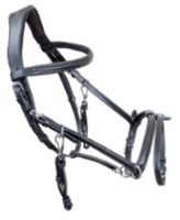 Riding halter