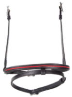 Combinated noseband with pattern stripe