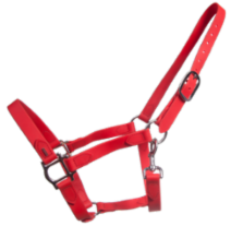 SuperStrap halter